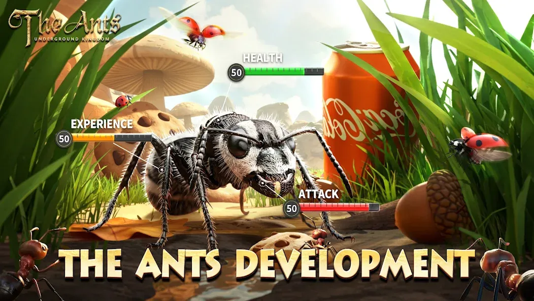 The Ants Underground Kingdom