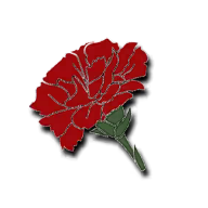 Pale Carnations