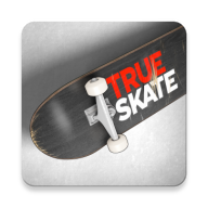 True Skate Mod