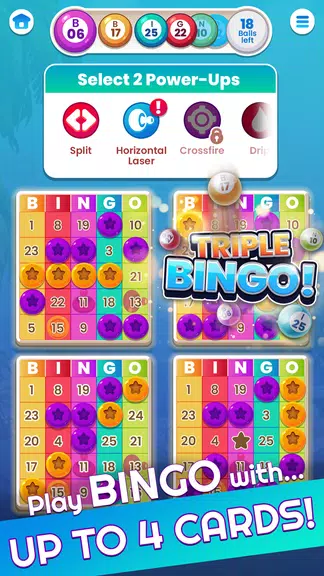 Bingo: Fun Bingo Casino Games