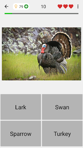 Animals Quiz - All Mammals Zoo
