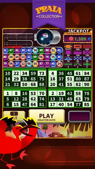 Jeri Video Bingo