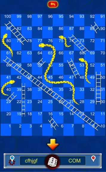 Super Games - Ludo, Chess, Callbreak, Snake Ladder