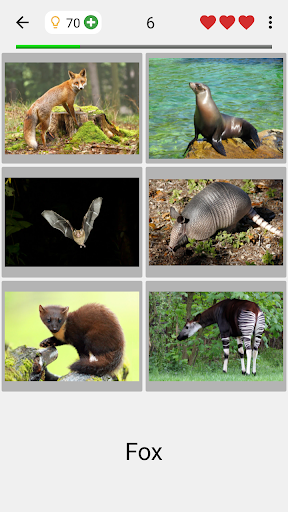 Animals Quiz - All Mammals Zoo