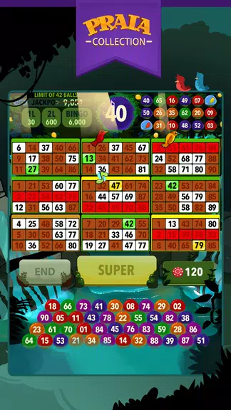 Video Bingo Ubatuba