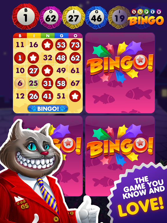 Super Bingo HD