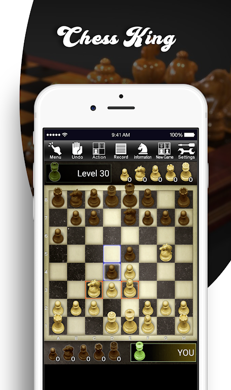 Chess King New