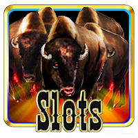 Slots Stampede