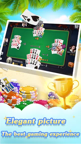 Chinese poker -13 poker