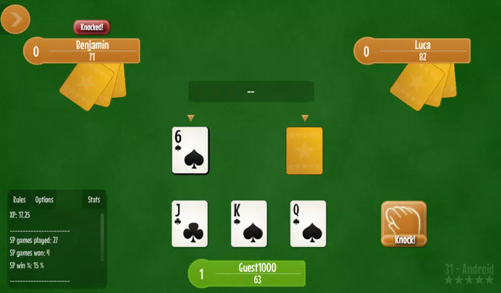 Thirty one - 31 card game.