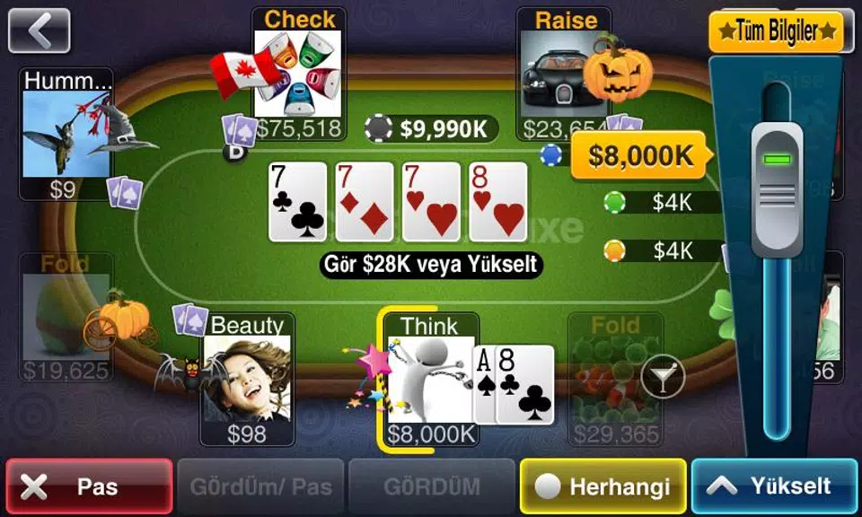 Texas HoldEm Poker Deluxe TR
