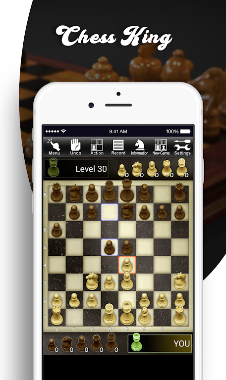 Chess King New