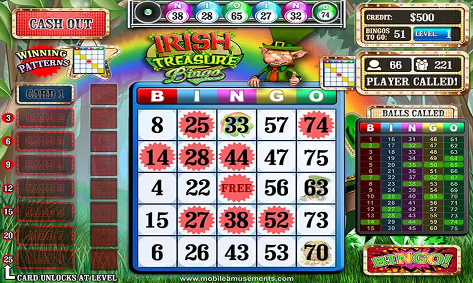 Irish Treasure Bingo