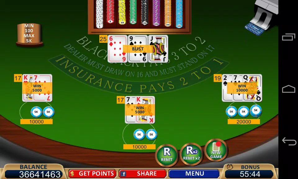 Blackjack 21+ Casino Card Game