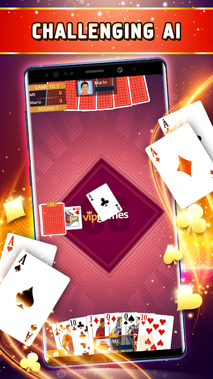 Sixty-Six Offline - Card Game