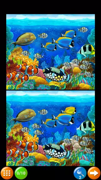 Find the Difference