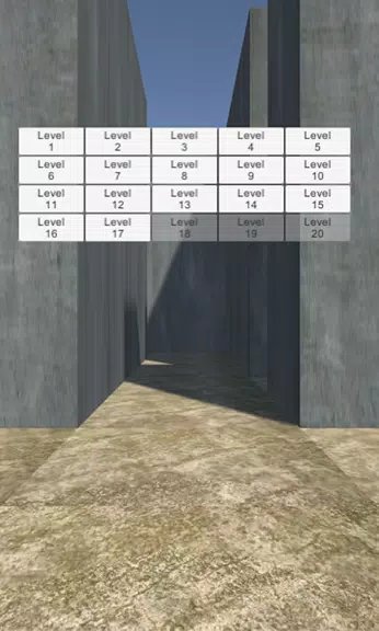 VR: Escape from Maze