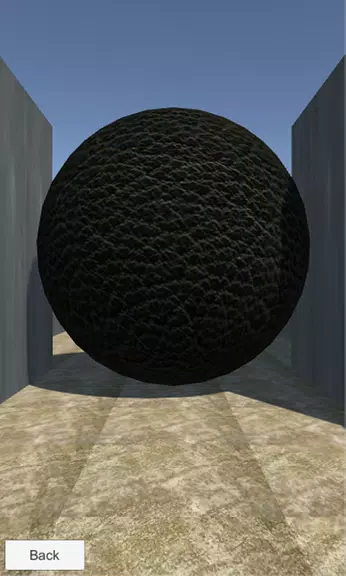 VR: Escape from Maze