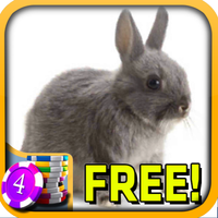 3D Bunny Rabbit Slots