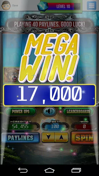 Wolf Chase Slots Machine