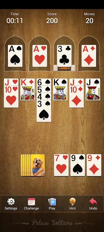 Palace Solitaire - Card Games