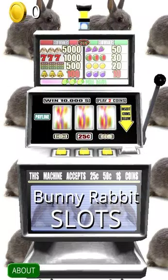 3D Bunny Rabbit Slots