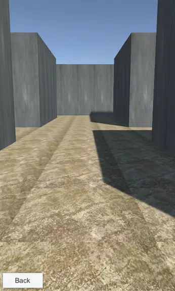 VR: Escape from Maze