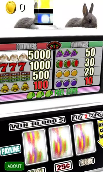 3D Bunny Rabbit Slots