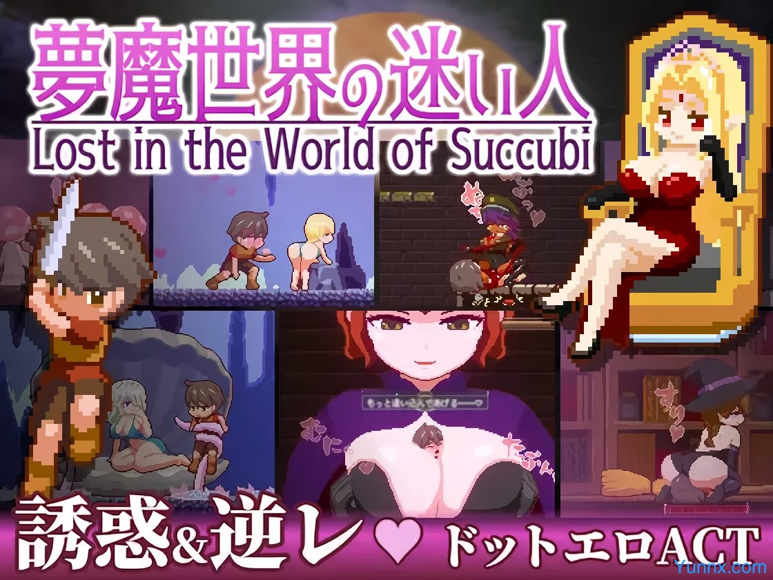 Lost in the World of Succubi Mod