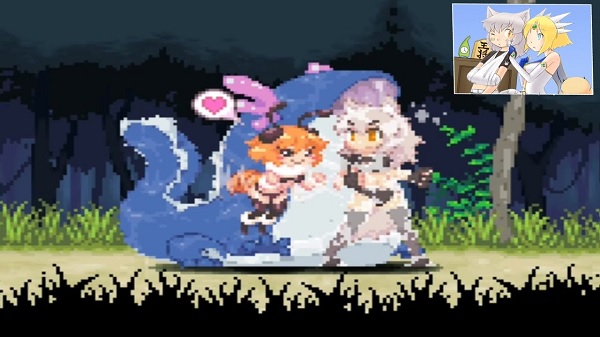 Echidna Wars DX