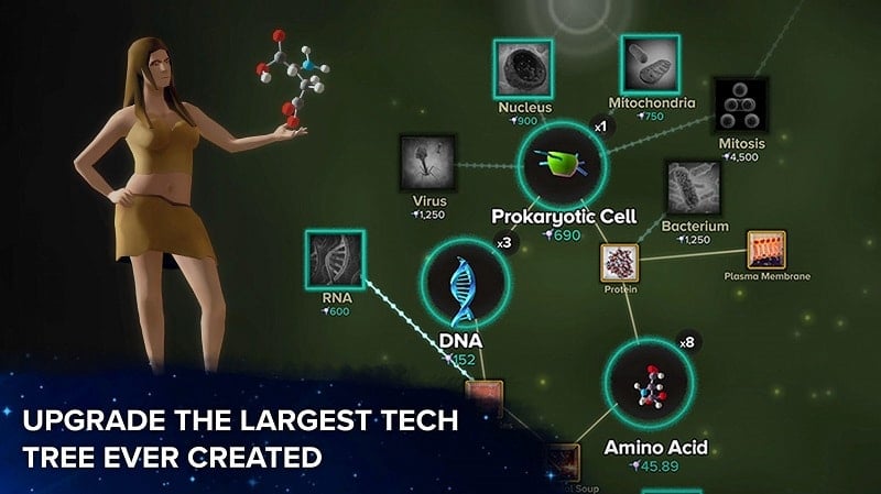 Cell to Singularity 34.17