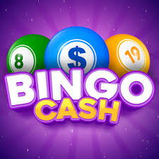 Bingo - Cash Win Real Money APP