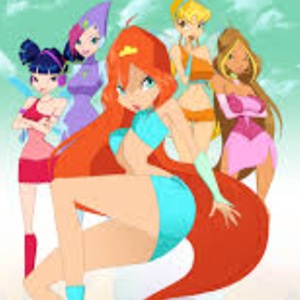 Fairy Fixer