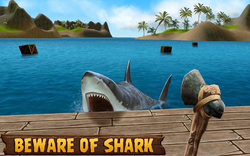 Ocean Survival