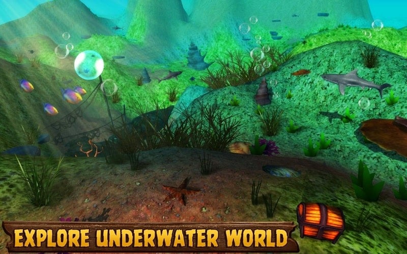 Ocean Survival