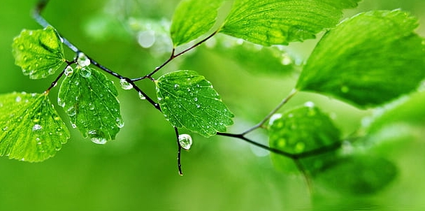 Beautiful wallpaper themes free download