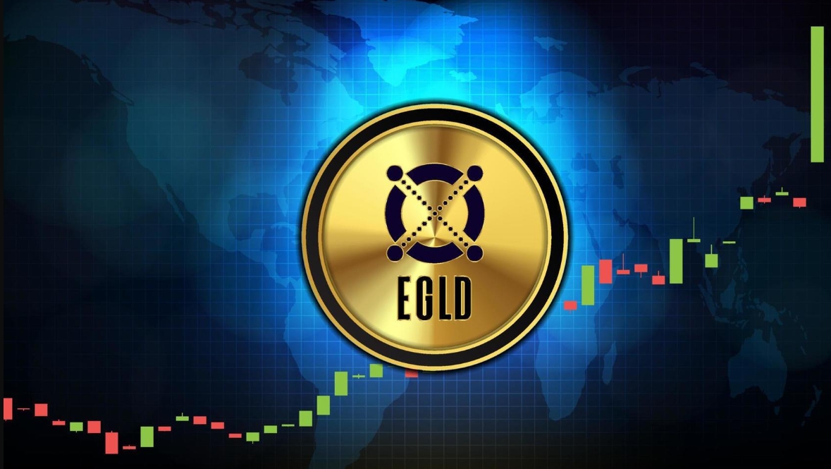 buy egld