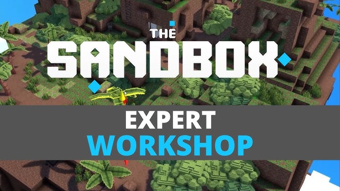 Think Tank Sandbox.