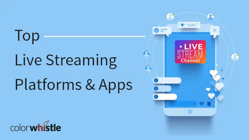 collection of useful live streaming software 2024