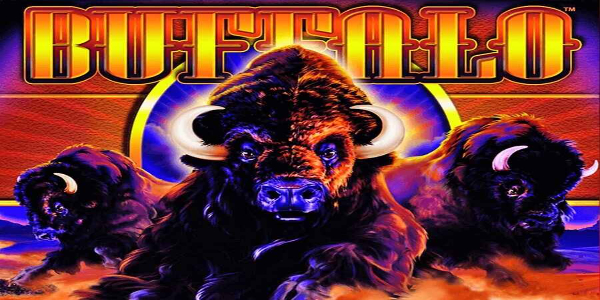 How Many Buffalo Slot Games Are There For You To Play Free